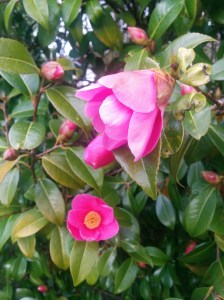 IMG_20160320_153225