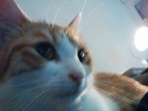 IMG_20160320_220359