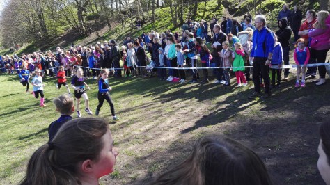 Evie at cross country