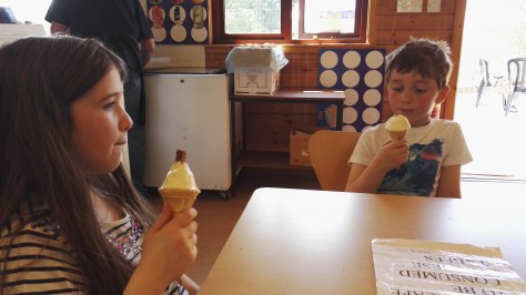 Ice Cream!