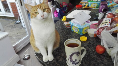 Our Millie Cat guards the tea
