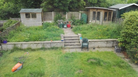 Garden a bit of jungle :)