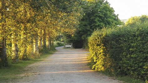 The enternace to our campsite