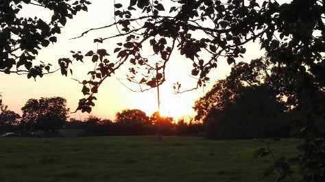 Another beautiful night at our campsite