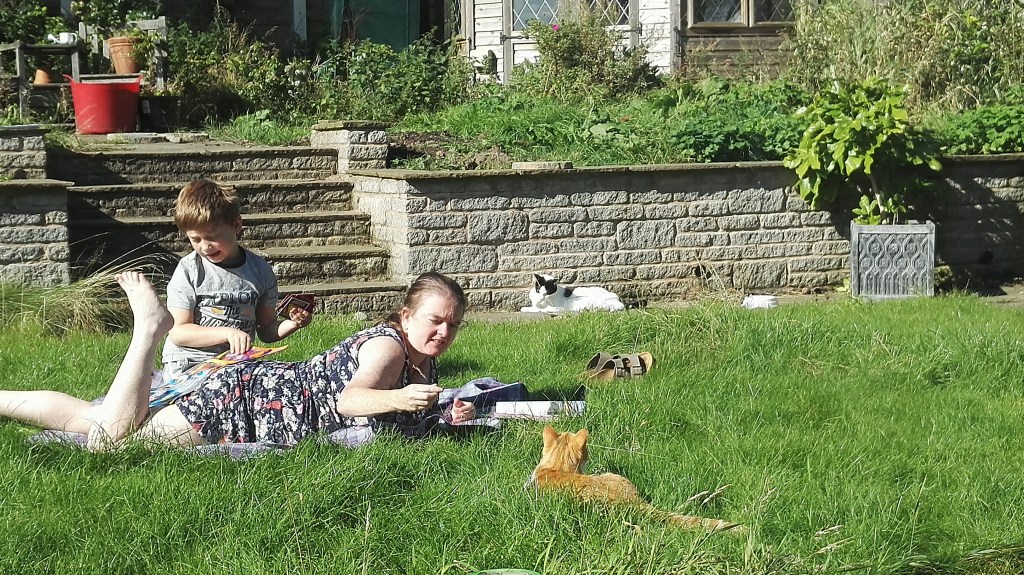 The Sun hadn't vanished entirely - still time to be hunted by cats!