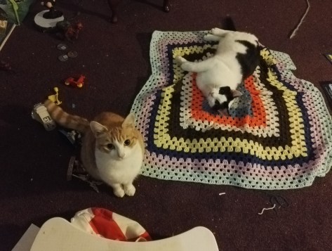 Cats in Catnip debauchary shocker