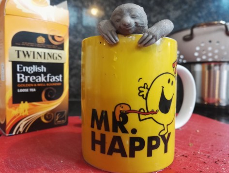 Best Birthday Present Ever!!  Tony the Tea makin sloth :)