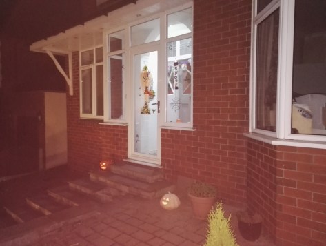 Halloween at the Newport's