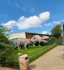 Here be Dinosaurs!
